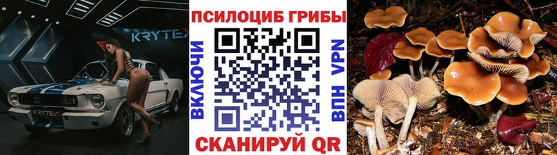 Псилоцибиновые грибы мухоморы  Купить где  Верхняя Салда 